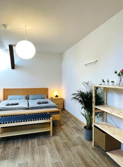 P6 - Familienwohnung Am Park Und Saale Halle  ภายนอก รูปภาพ