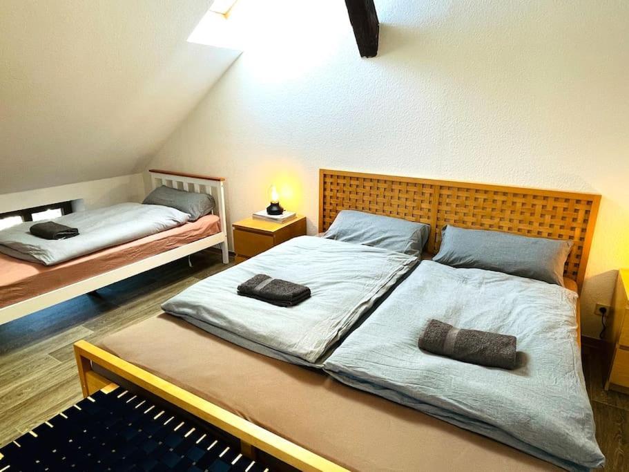 P6 - Familienwohnung Am Park Und Saale Halle  ภายนอก รูปภาพ