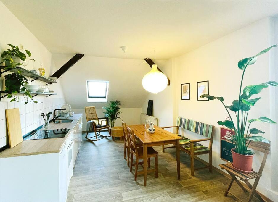 P6 - Familienwohnung Am Park Und Saale Halle  ภายนอก รูปภาพ
