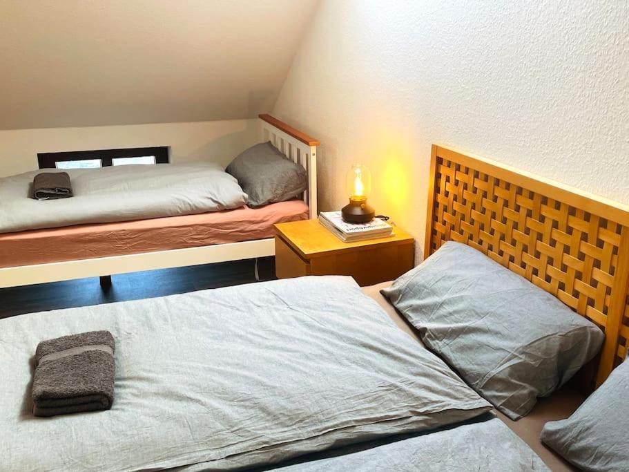 P6 - Familienwohnung Am Park Und Saale Halle  ภายนอก รูปภาพ