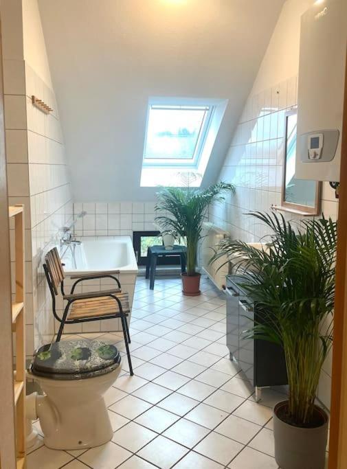 P6 - Familienwohnung Am Park Und Saale Halle  ภายนอก รูปภาพ