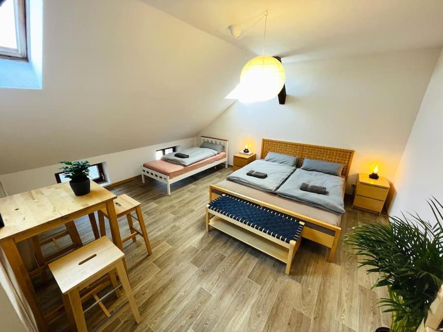 P6 - Familienwohnung Am Park Und Saale Halle  ภายนอก รูปภาพ