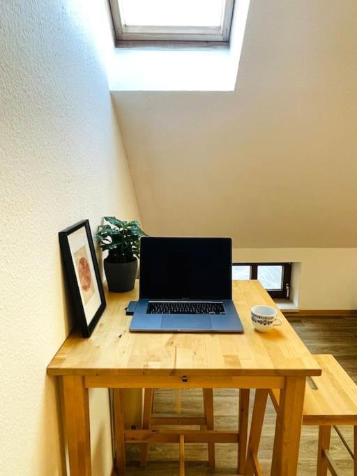 P6 - Familienwohnung Am Park Und Saale Halle  ภายนอก รูปภาพ