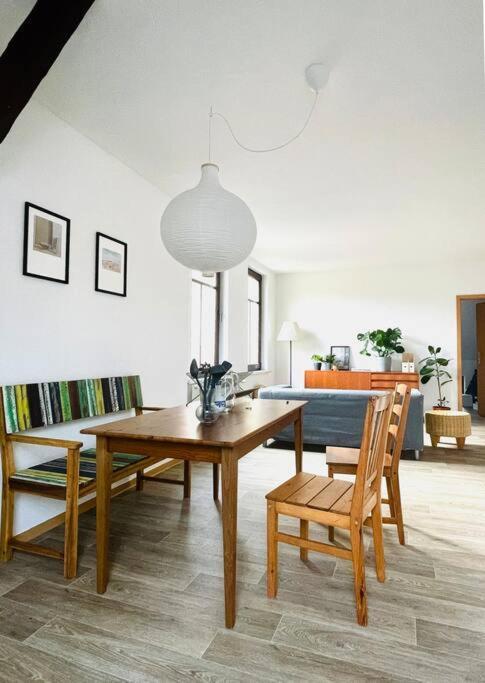 P6 - Familienwohnung Am Park Und Saale Halle  ภายนอก รูปภาพ