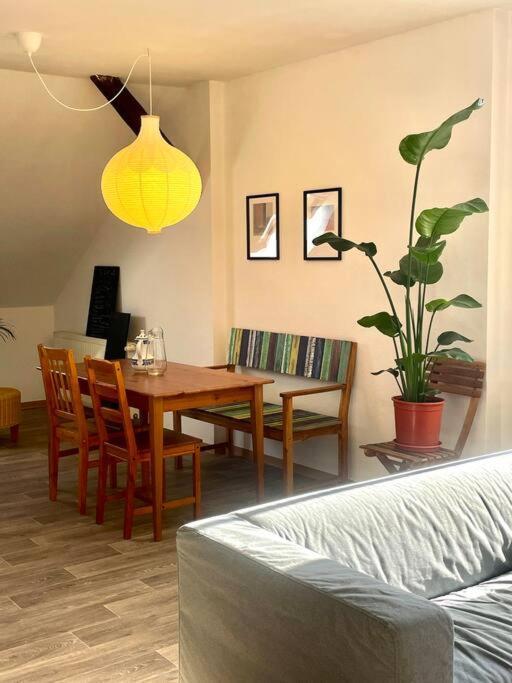 P6 - Familienwohnung Am Park Und Saale Halle  ภายนอก รูปภาพ