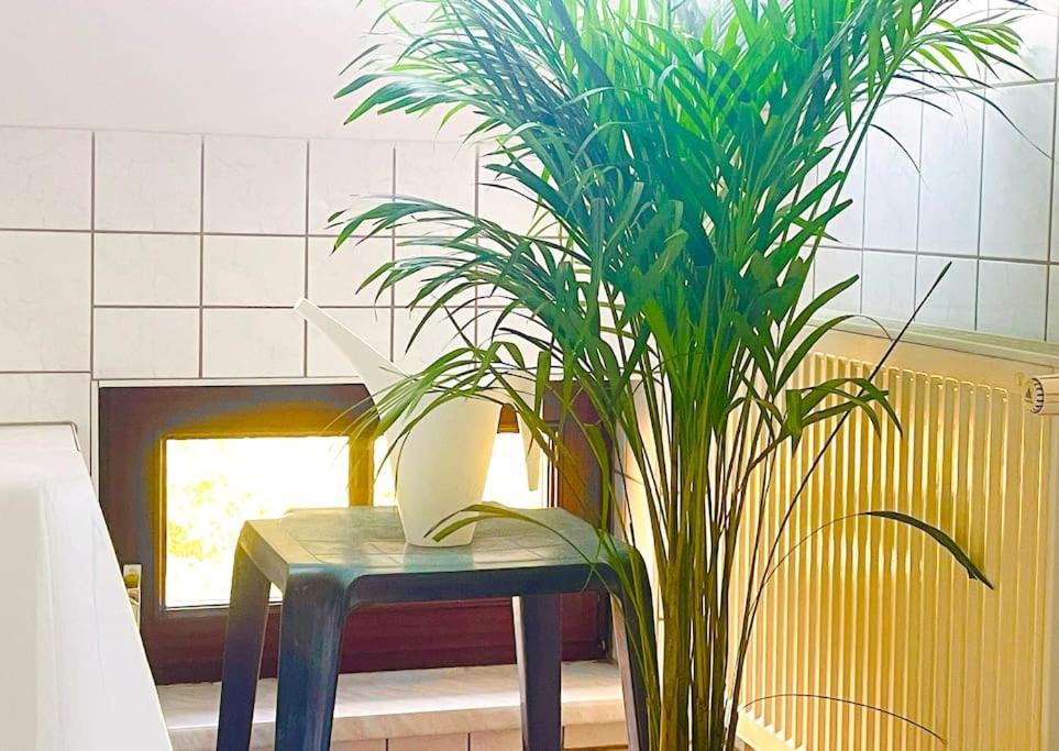 P6 - Familienwohnung Am Park Und Saale Halle  ภายนอก รูปภาพ