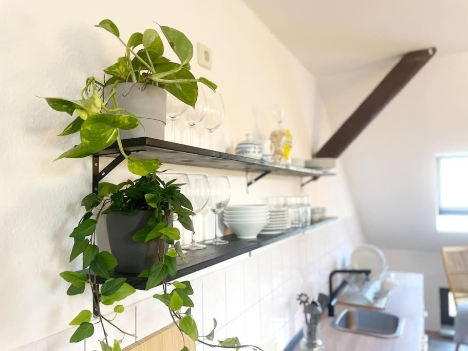 P6 - Familienwohnung Am Park Und Saale Halle  ภายนอก รูปภาพ