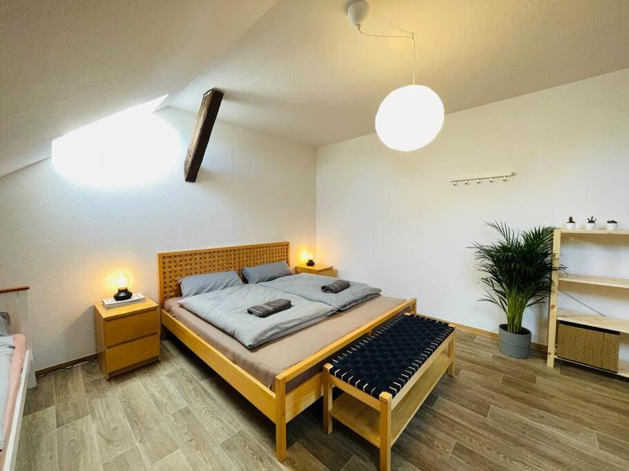 P6 - Familienwohnung Am Park Und Saale Halle  ภายนอก รูปภาพ