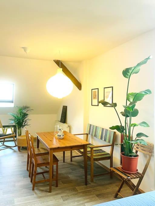 P6 - Familienwohnung Am Park Und Saale Halle  ภายนอก รูปภาพ