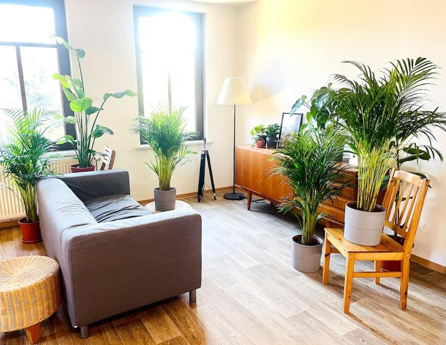 P6 - Familienwohnung Am Park Und Saale Halle  ภายนอก รูปภาพ