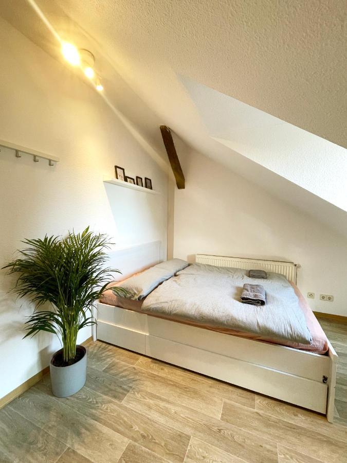 P6 - Familienwohnung Am Park Und Saale Halle  ภายนอก รูปภาพ